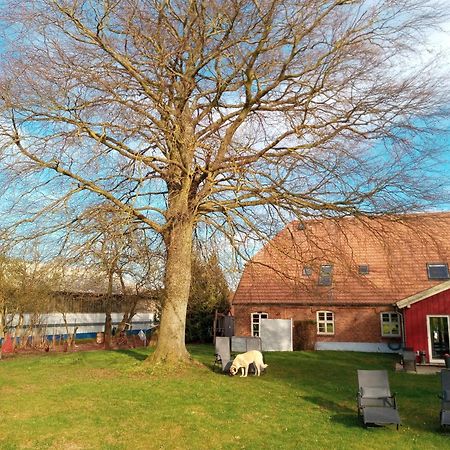 Hotelpension Pfarrhaus Alt Schwerin Buitenkant foto