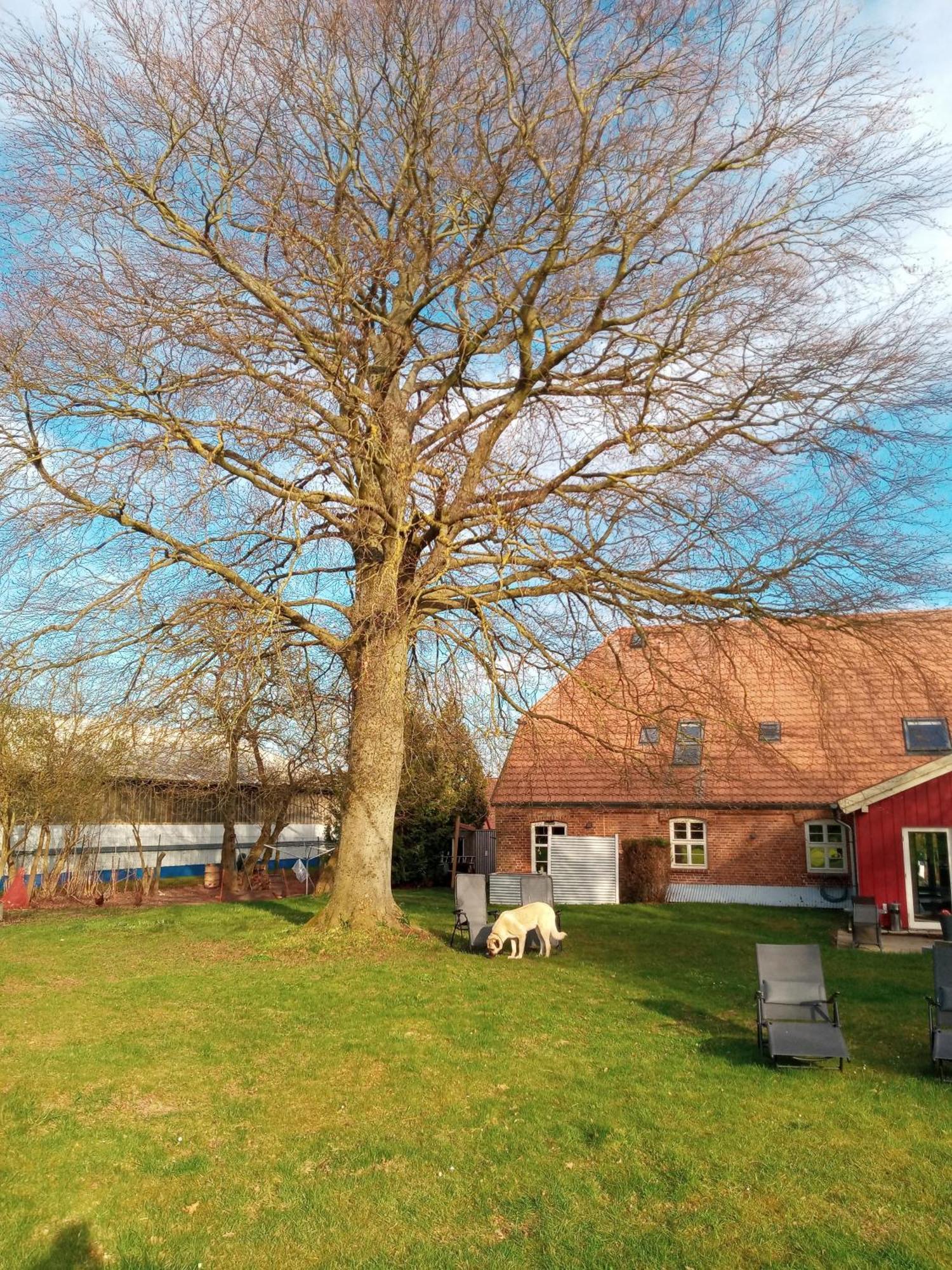 Hotelpension Pfarrhaus Alt Schwerin Buitenkant foto